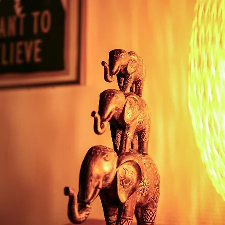 Le Nid Douillet - Confort à Proximité De La Gare - Tram à 5 Min Apartamento